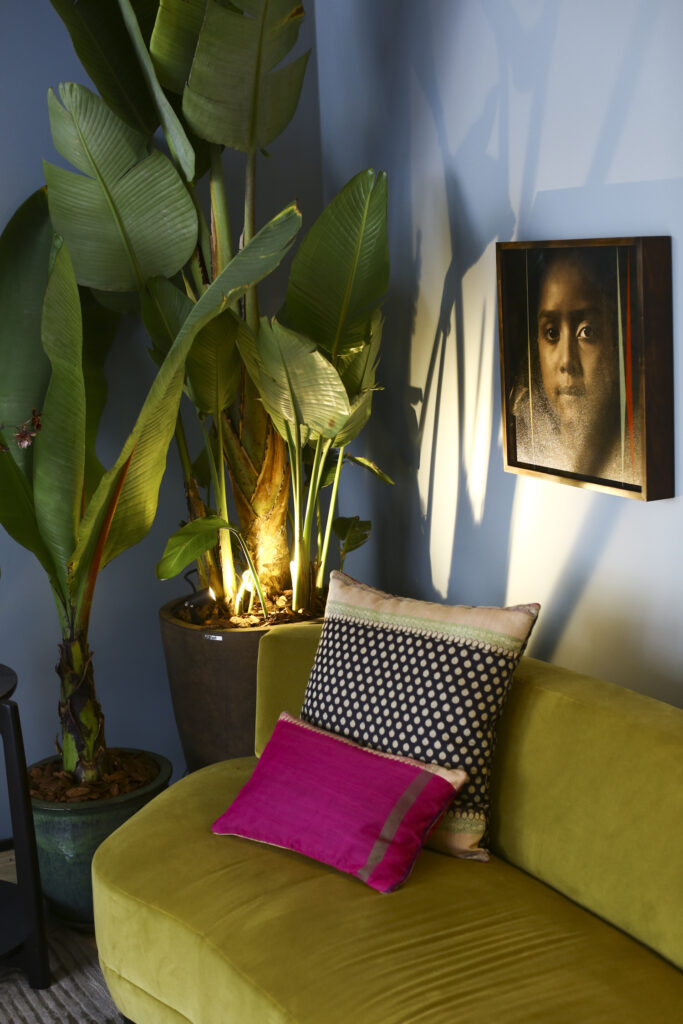 CASA COR 2015